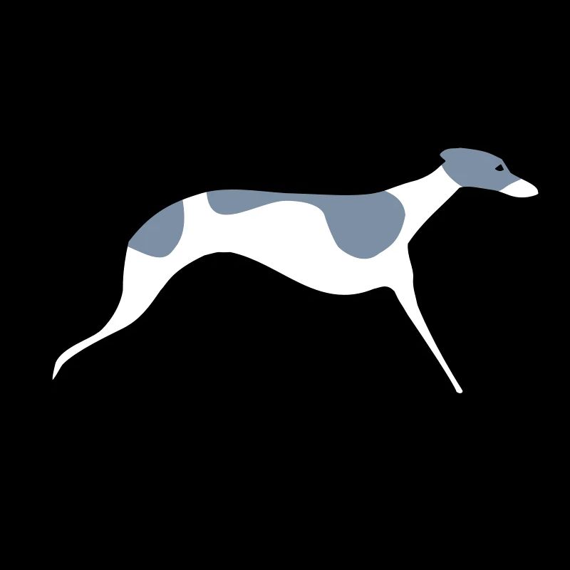 Whippet
