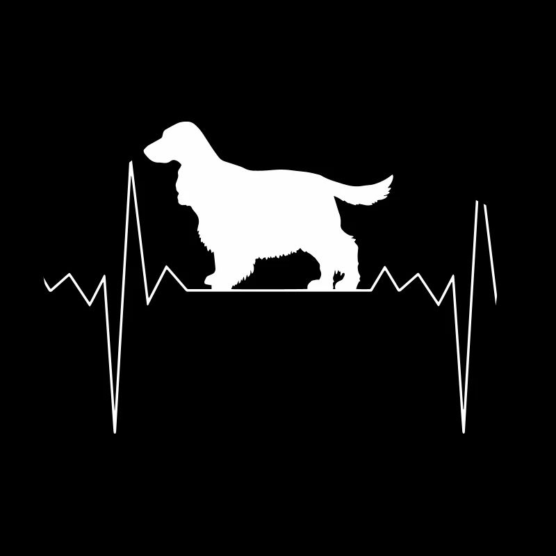 Herzschlag Herzfrequenz Cocker Spaniel