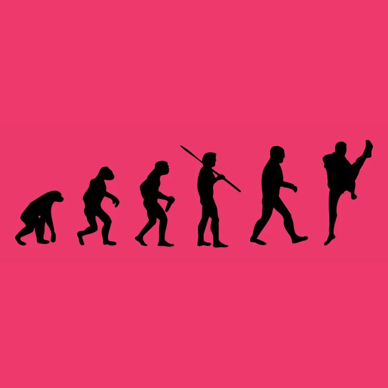 Kampfsport Evolution