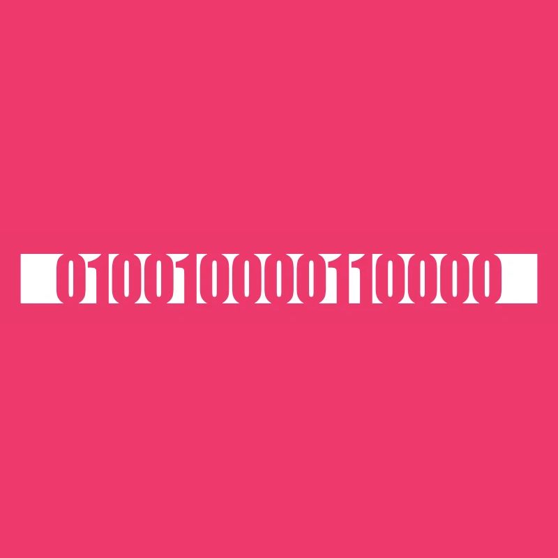 Langage de programme de code binaire