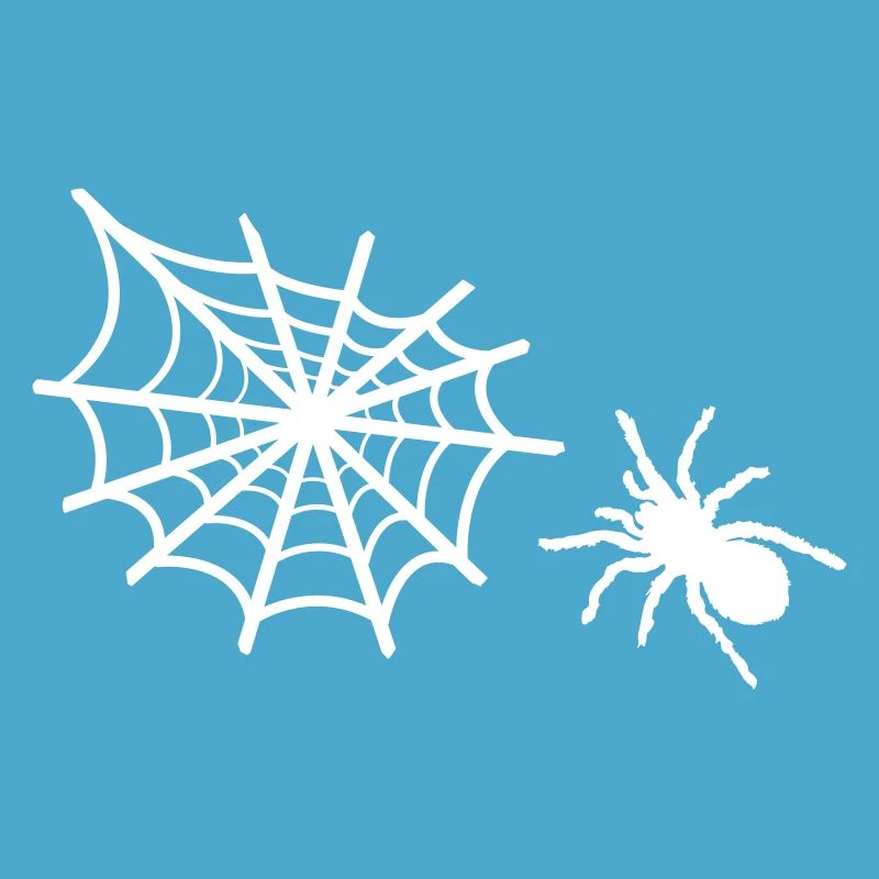 spider spider web