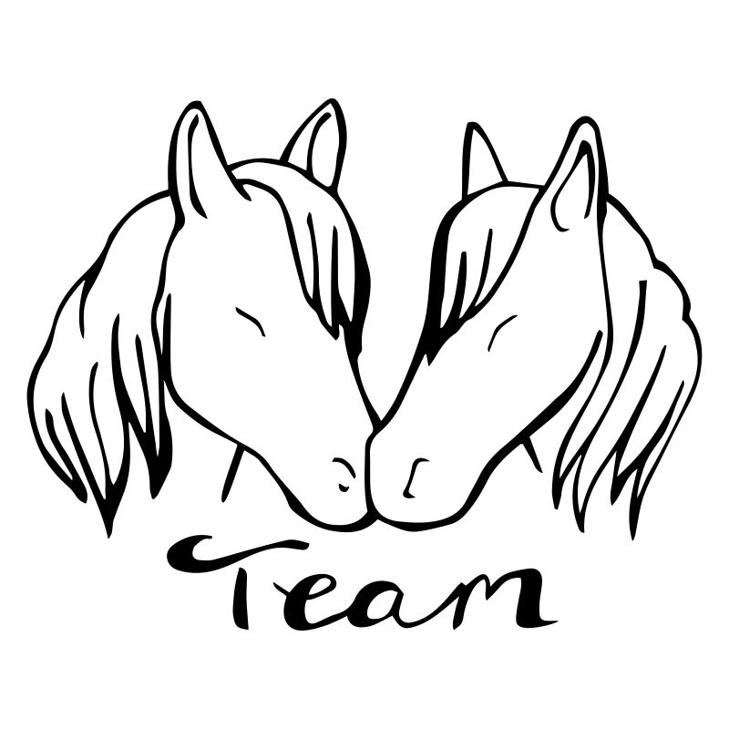 Team Pferd
