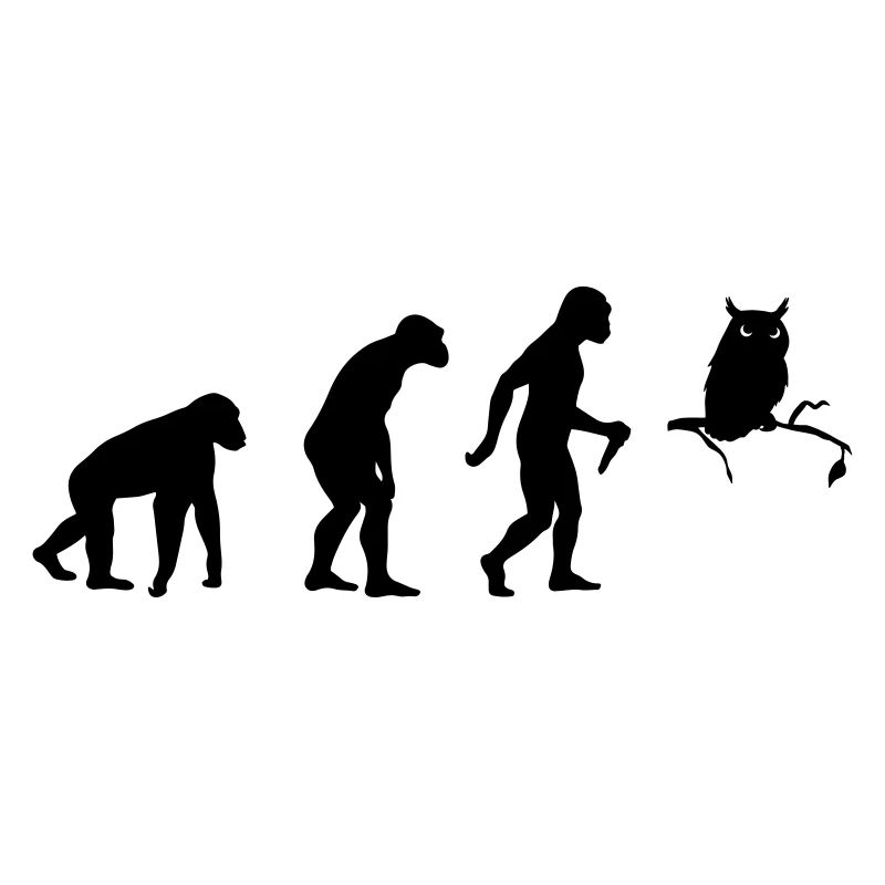 L'évolution du hibou