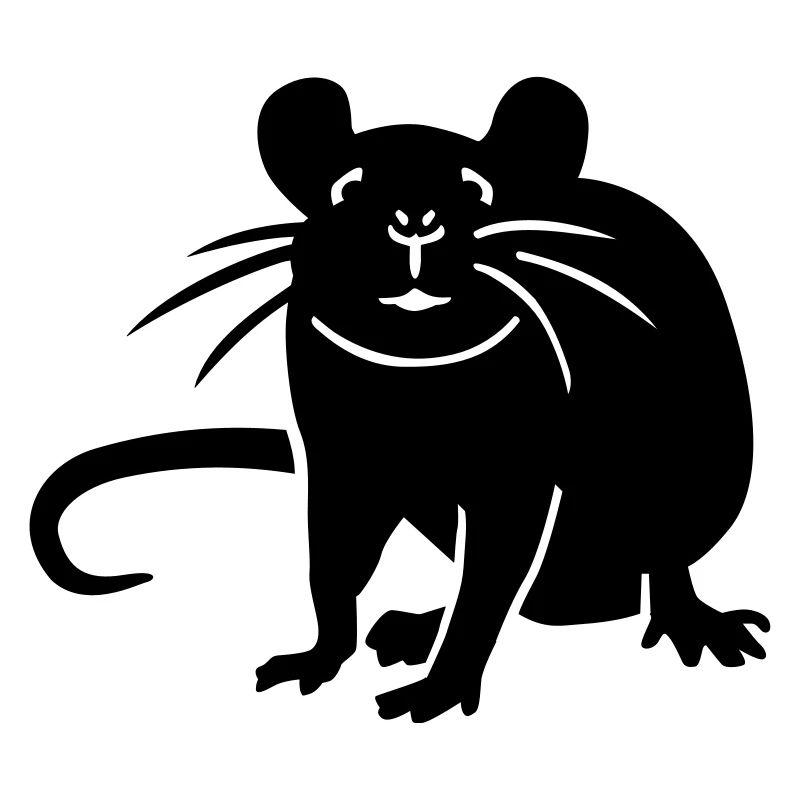 Rat