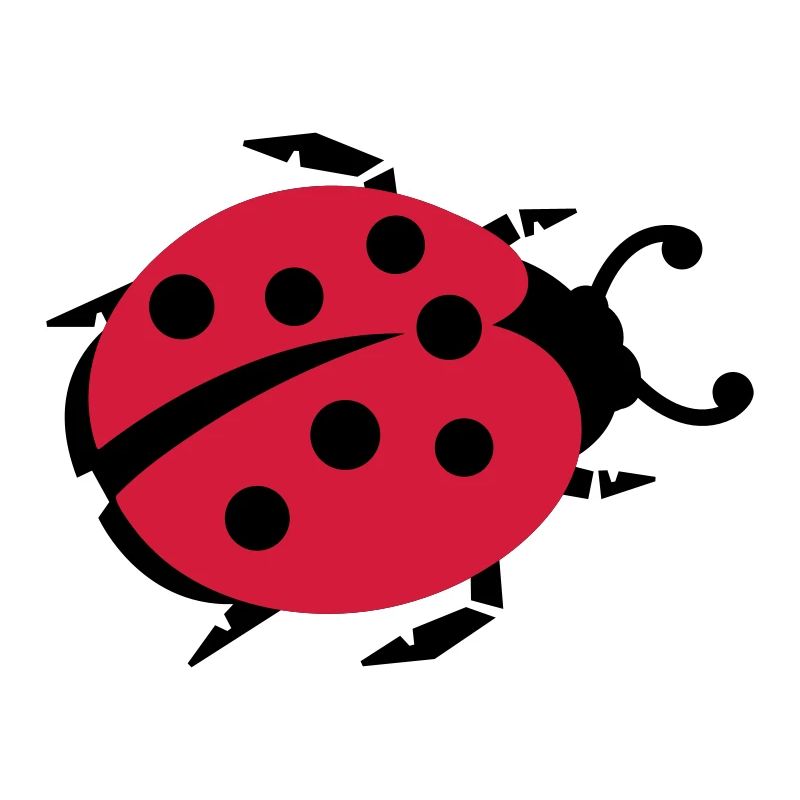 ladybug marienkaefer