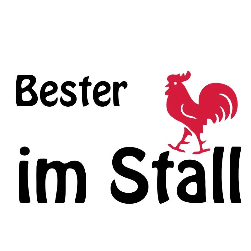 Bester Han im Stall, der Hahn im Korb