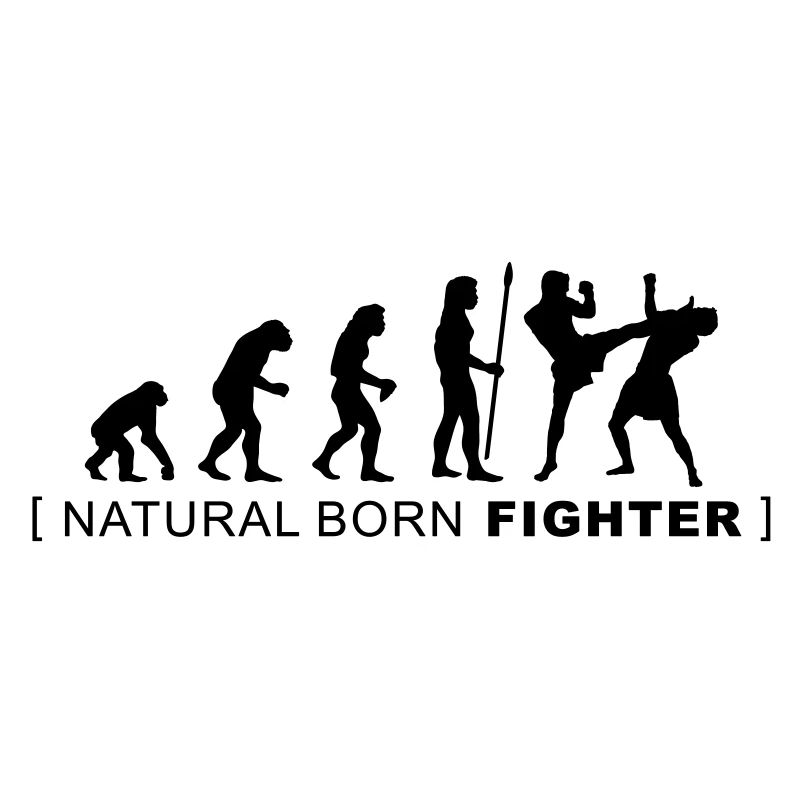 evolution_martialarts