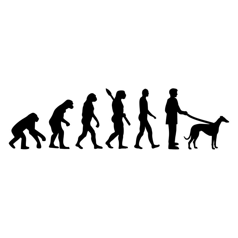 Evolution Lévrier