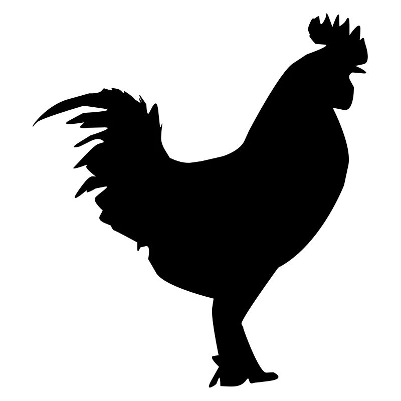 Rooster Silhouette Chicken