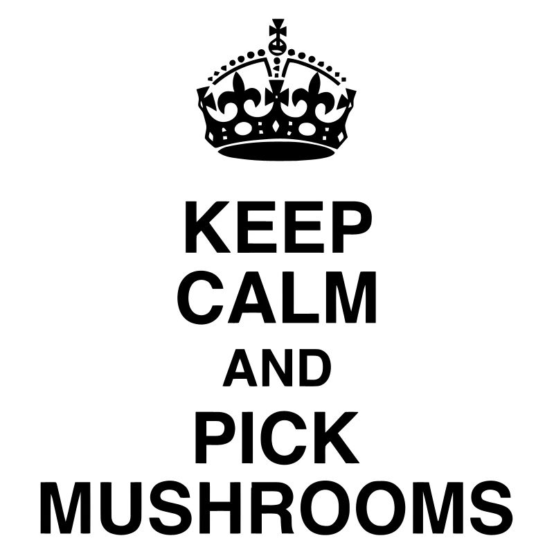 Chasse aux champignons / Champignon / Cueillette