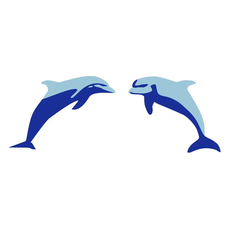 Dolphins, Dolphin