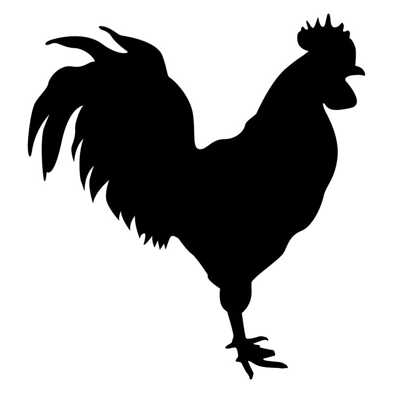 rooster