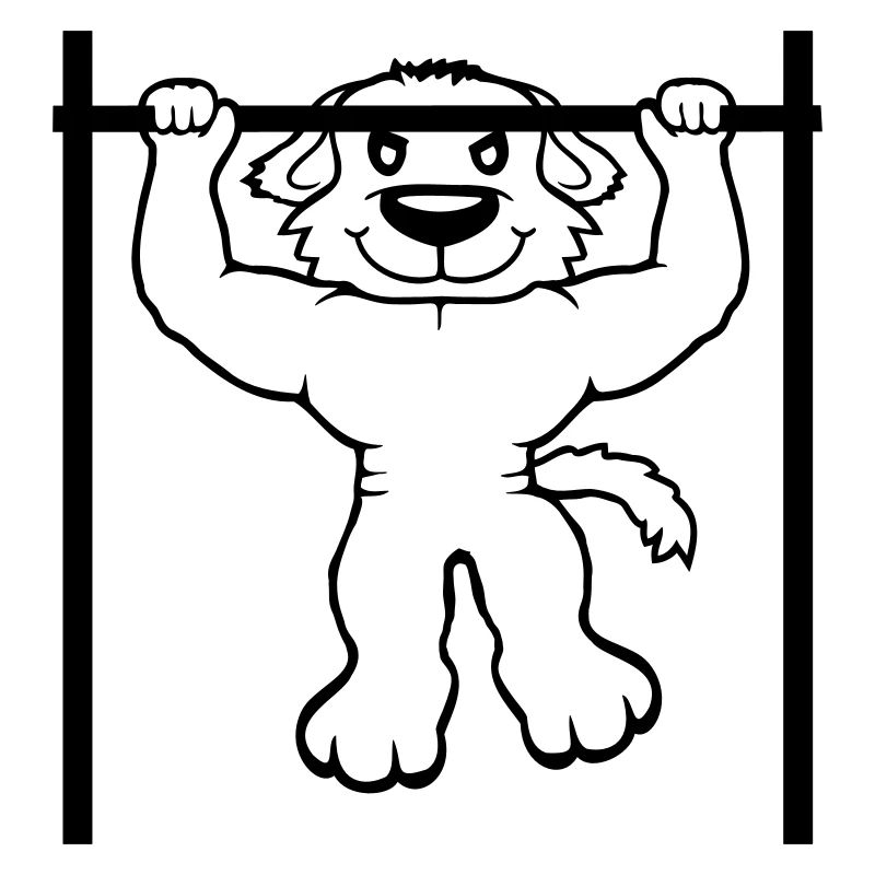 Dog Pull-ups Bar Muscles Gym Pull-Up Bar