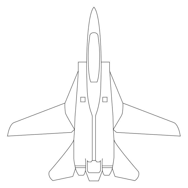 F-14 Tomcat Kampfflugzeug