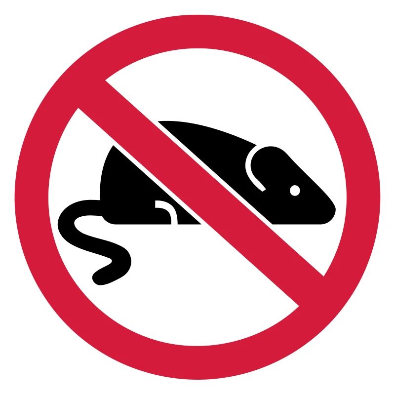 Maus
