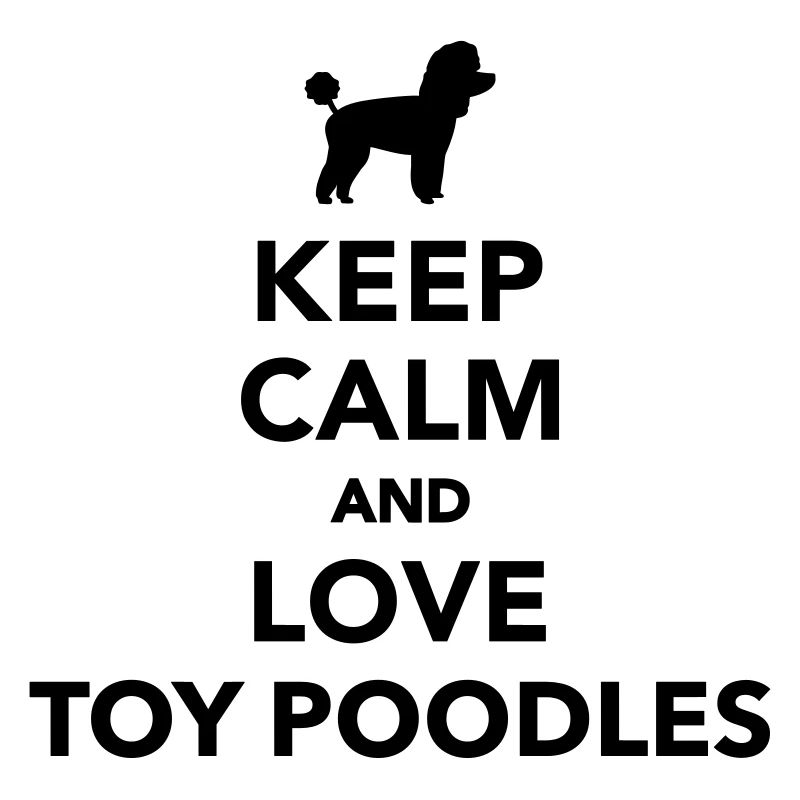 Toy Poodle