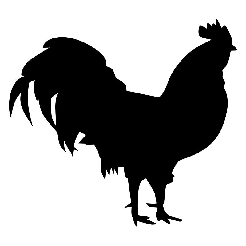 Rooster