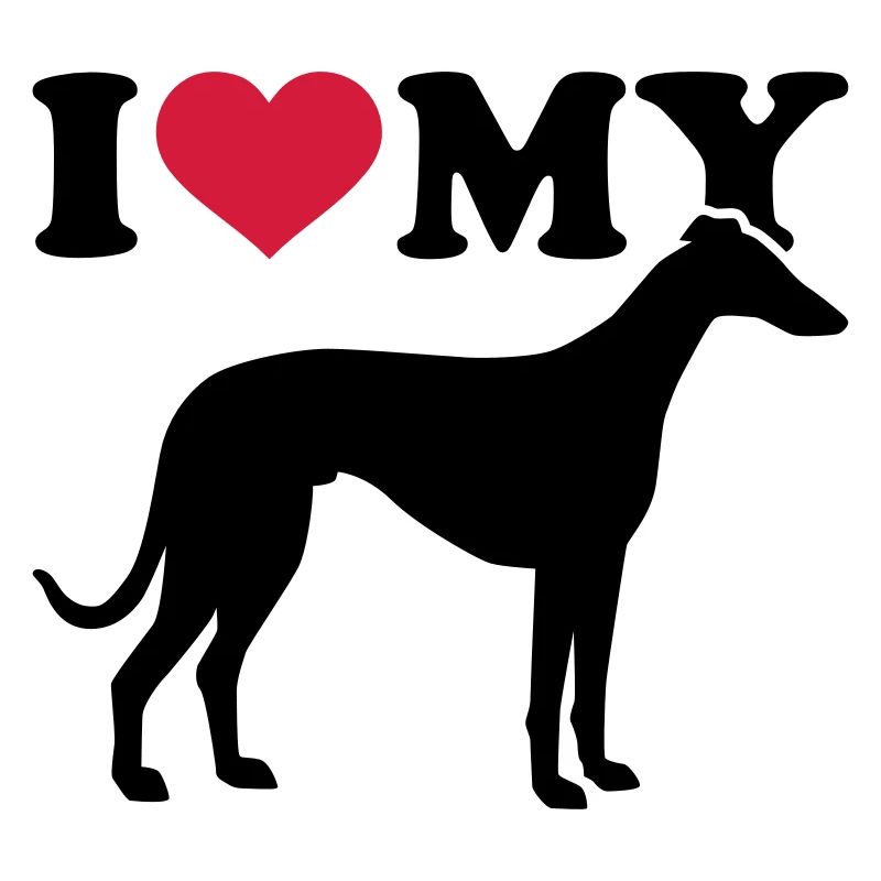Whippet
