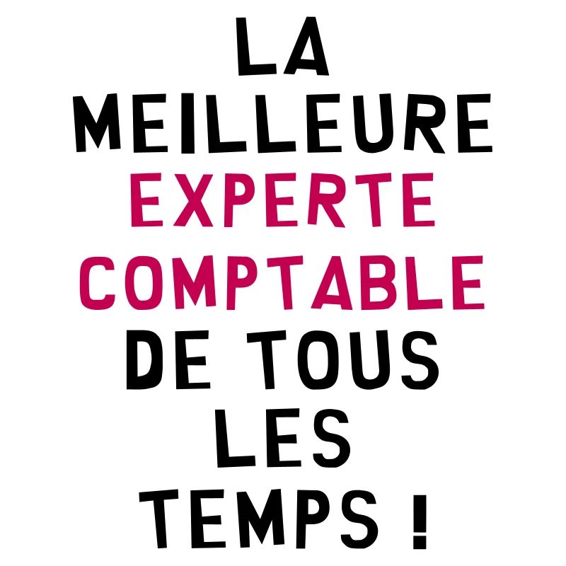 Expert Comptable / Comptabilité / Comptable /