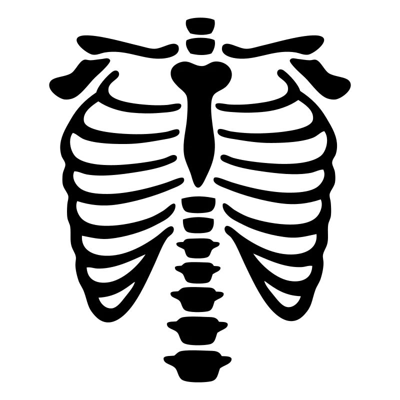 xray_vector