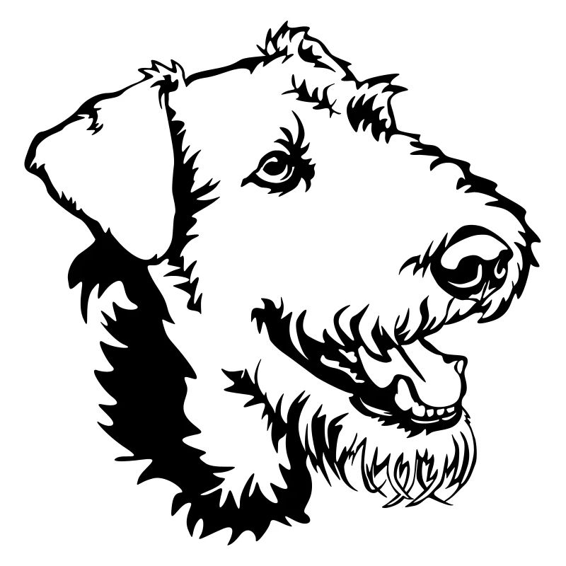 Airedale Terrier Kopf