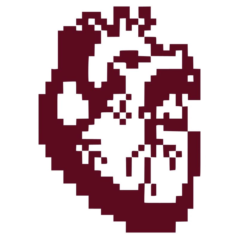 Schwarzes Herz Pixel Anatomie