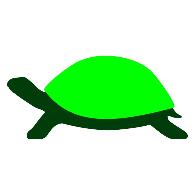 Drawn Turtle