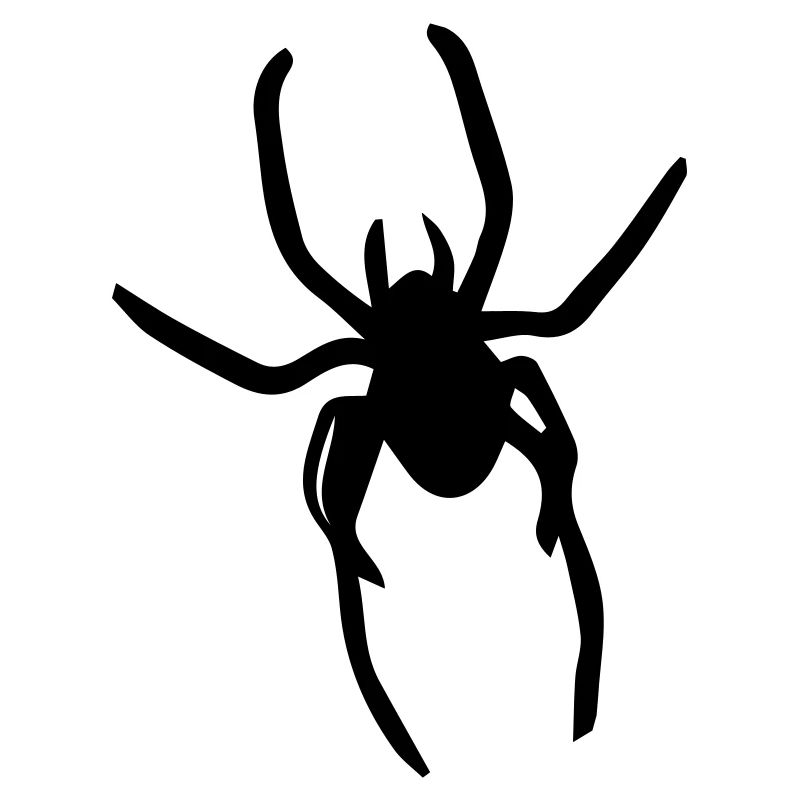 spider