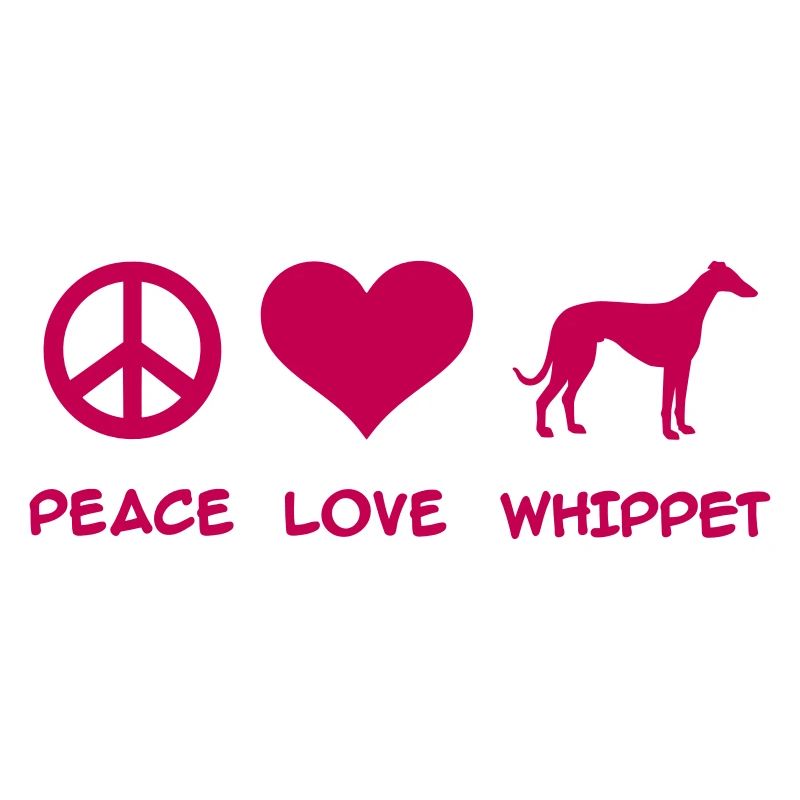 Whippet
