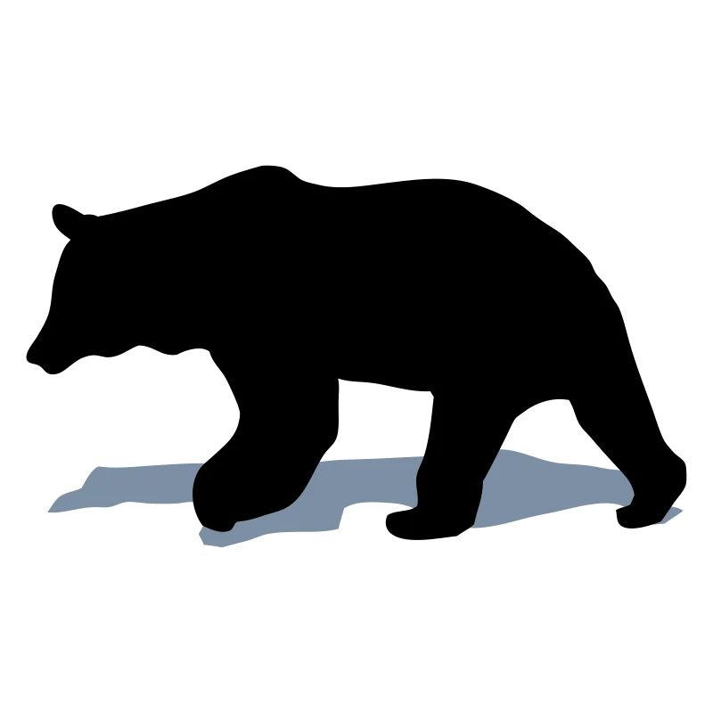 bear - brown bear - hunting - hunter