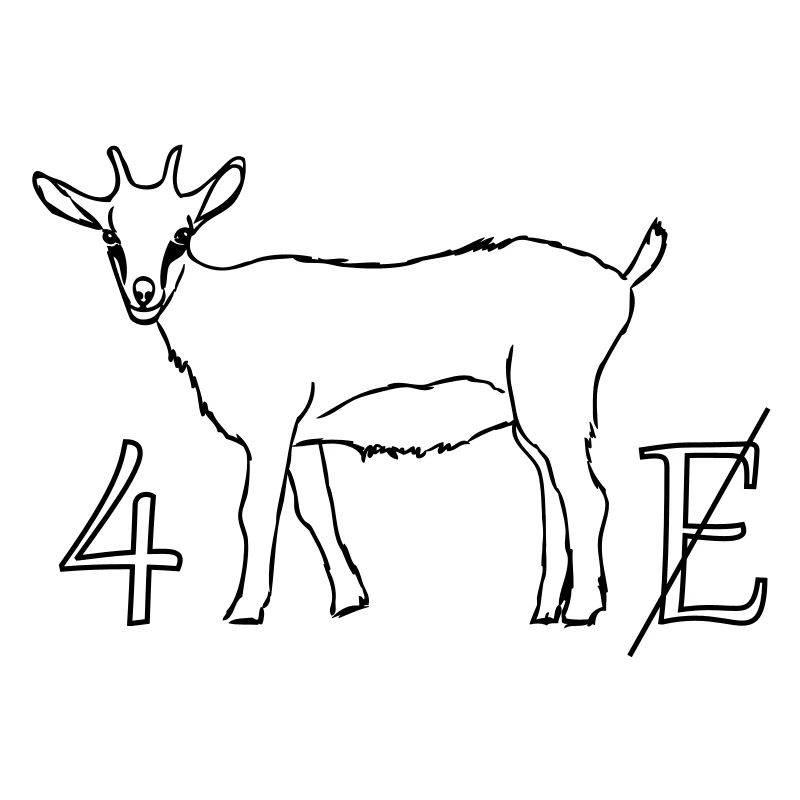 4zig