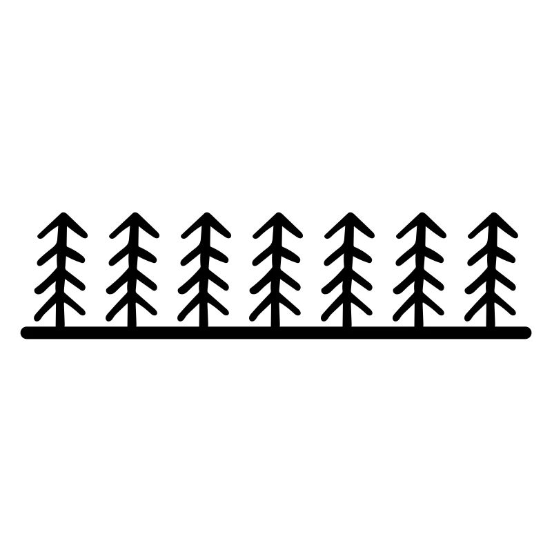 Forest Trees Landscape