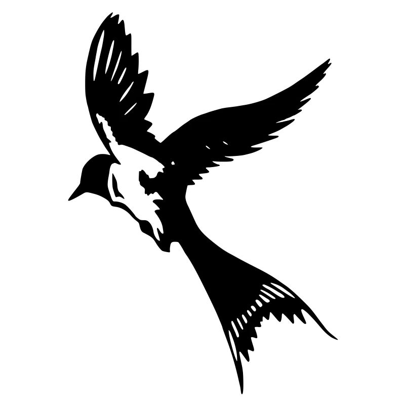 Fliegende Schwalbe