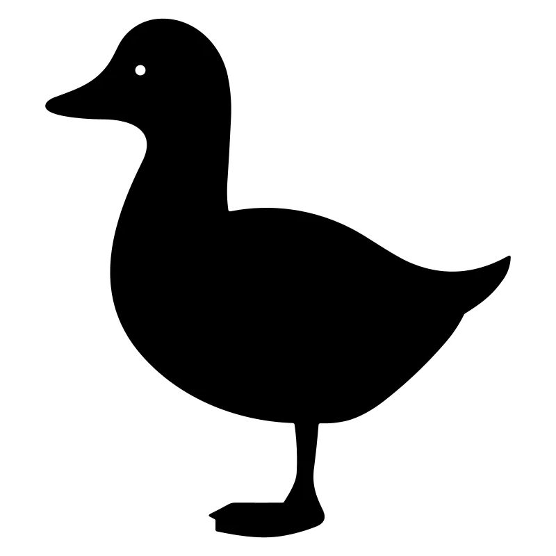 Canard