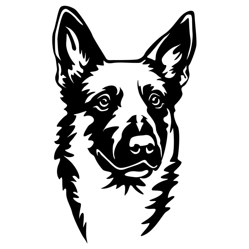 Malinois Kopf