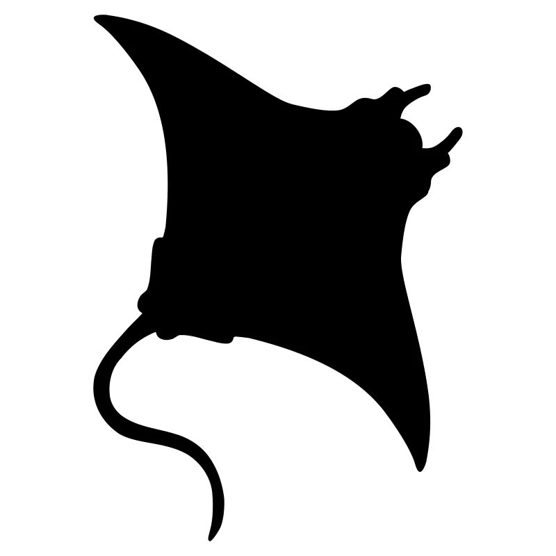 Manta Rochen