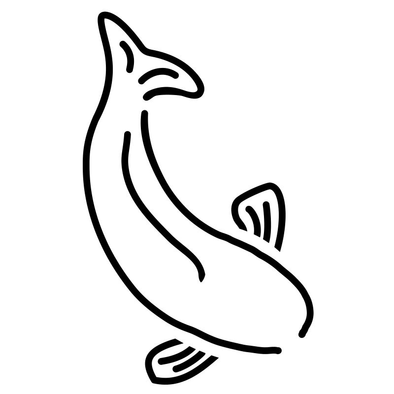 fisch__f1