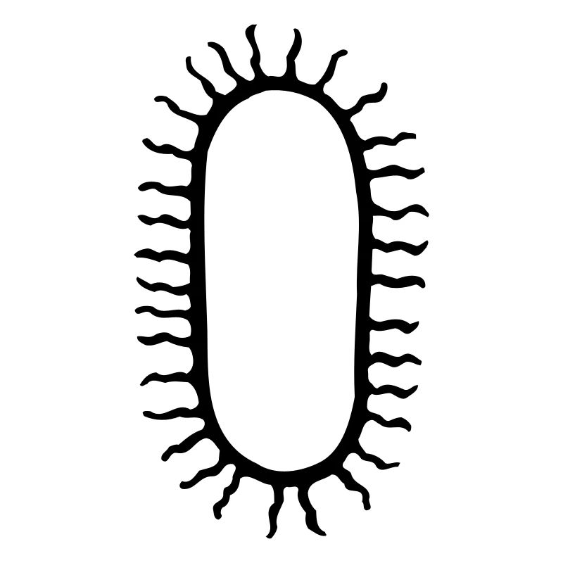 bacteria_1
