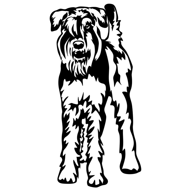 Schnauzer géant