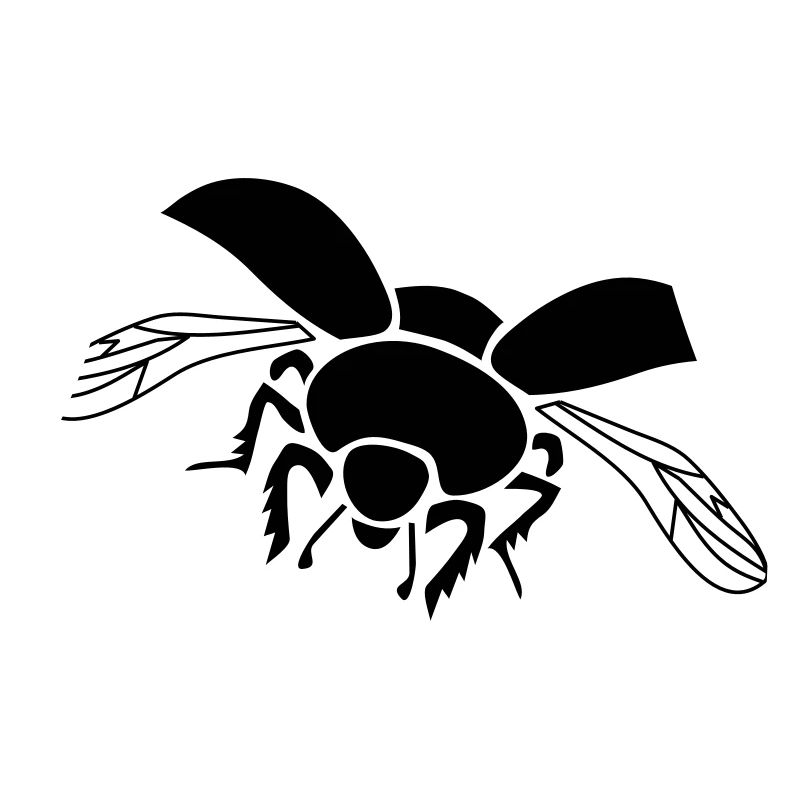 dung beetle dor beetle insect wings bug