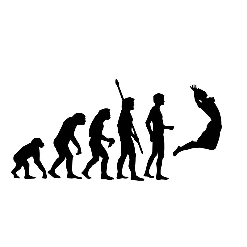 evolution_volleyball_1c