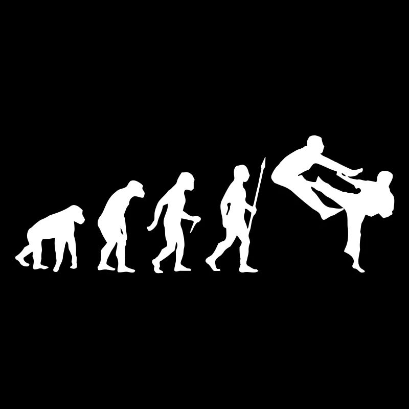 FUNNY KARATE EVOLUTION