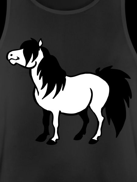Pony