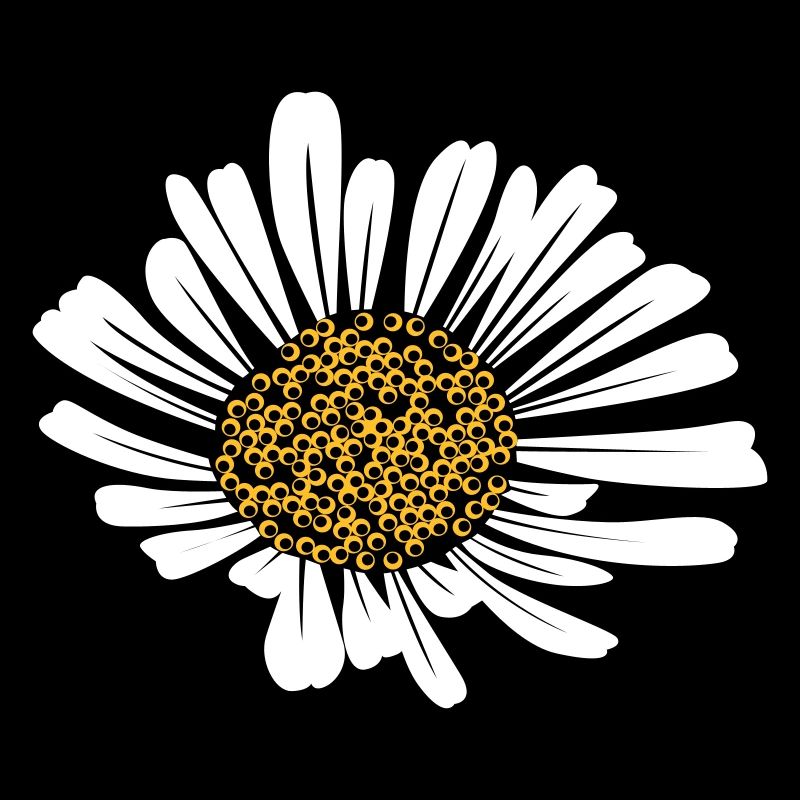 Daisy