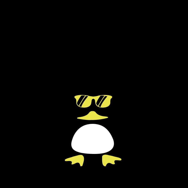 Canard de plage