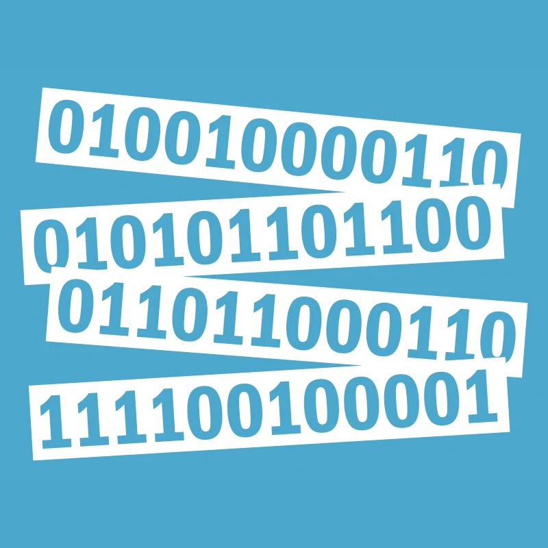 Binary Code Program Language