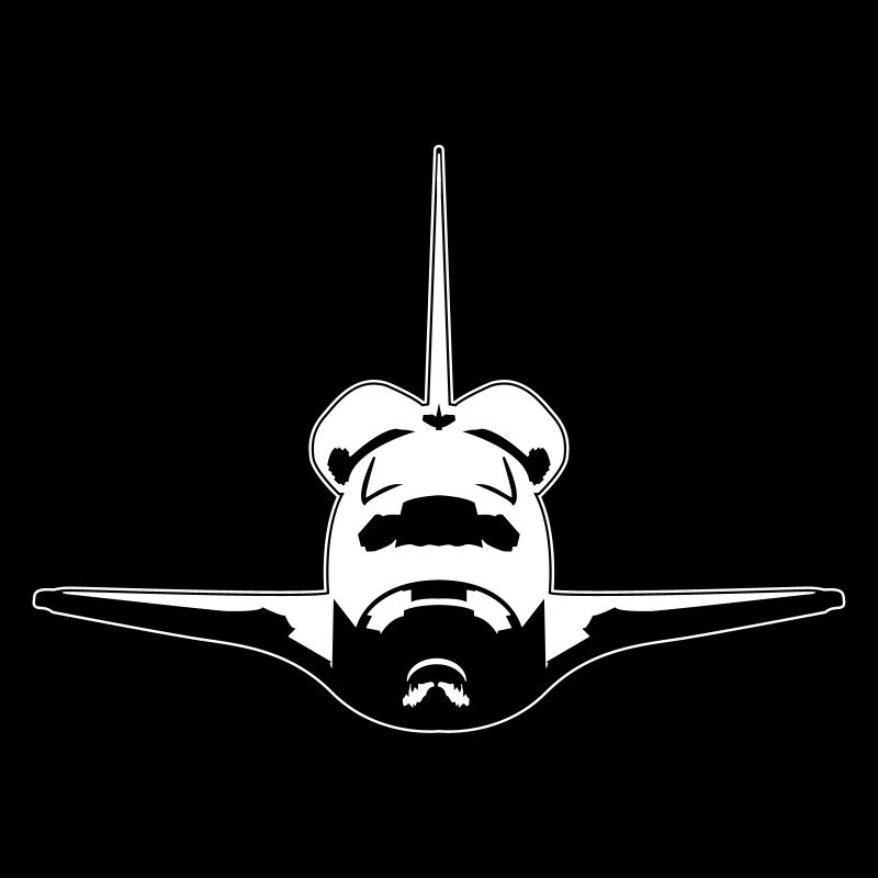 Space Shuttle