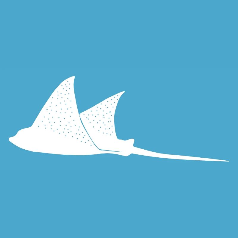 Eagle rays in flight mode