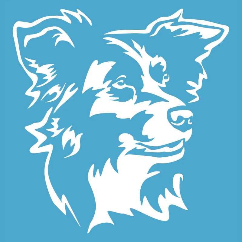 Border Collie Head "Black Edition"