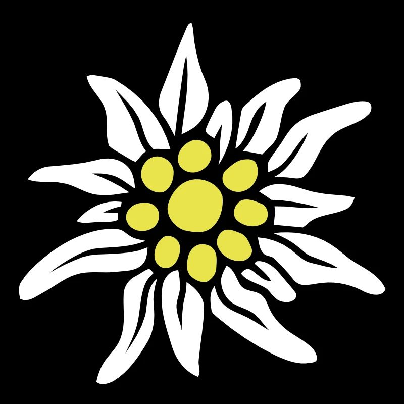 EDELWEISS BLÜTE